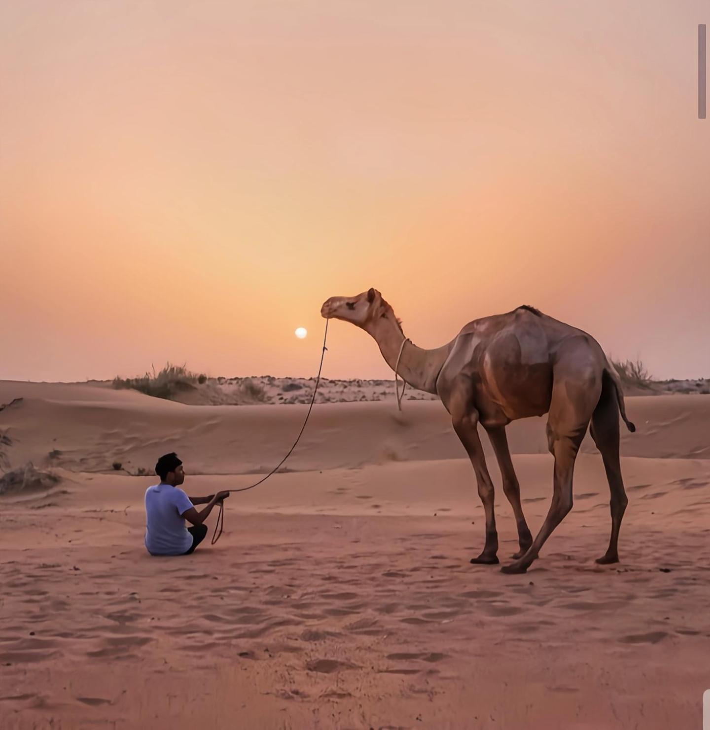 The Saffron Desert Camp Jaisalmer Ngoại thất bức ảnh